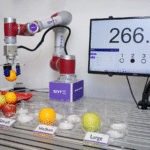 Exploring Soft Grippers, Soft Robots, and Soft Robotics
