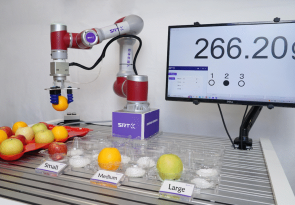 Exploring Soft Grippers, Soft Robots, and Soft Robotics
