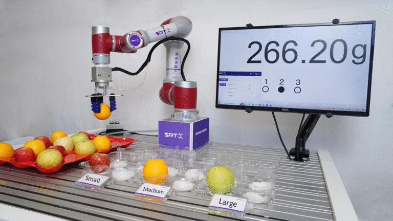 Exploring Soft Grippers, Soft Robots, and Soft Robotics