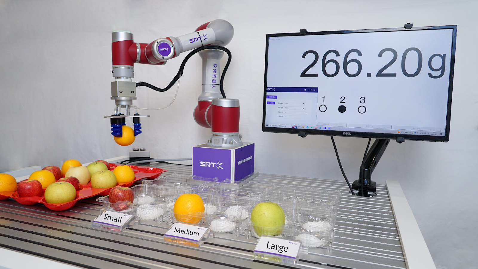 Exploring Soft Grippers, Soft Robots, and Soft Robotics